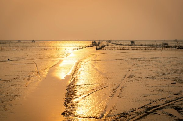 Explorer lille en toute liberté : l'art de bien choisir sa location de voiture